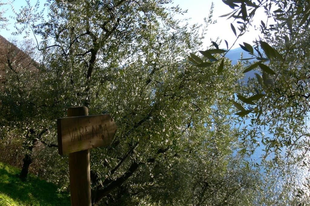 Luci Sul Lago - A Real Paradise 佩尔莱多 外观 照片