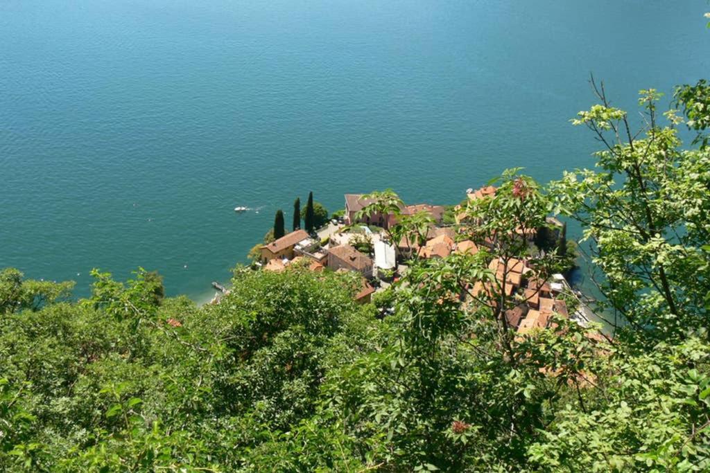 Luci Sul Lago - A Real Paradise 佩尔莱多 外观 照片