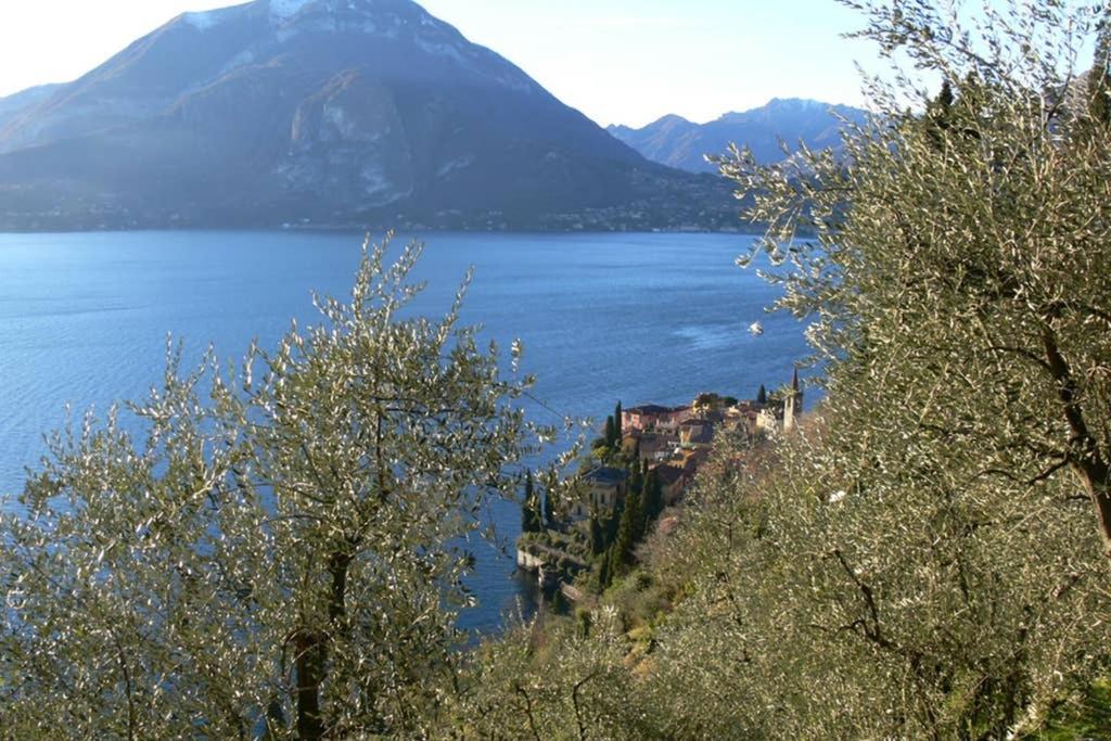 Luci Sul Lago - A Real Paradise 佩尔莱多 外观 照片