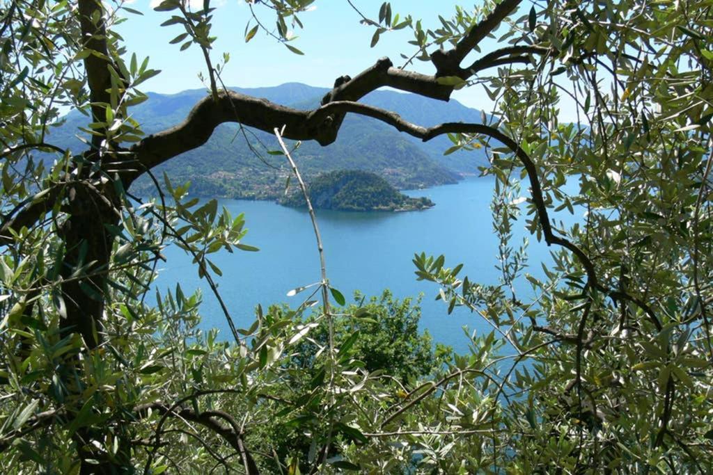 Luci Sul Lago - A Real Paradise 佩尔莱多 外观 照片