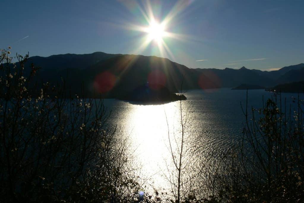 Luci Sul Lago - A Real Paradise 佩尔莱多 外观 照片